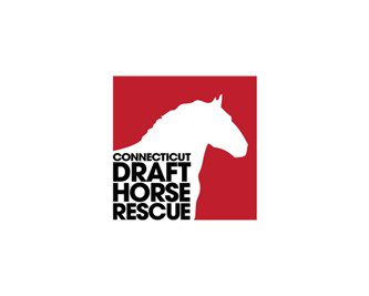 Connecticut Draft Horse Rescue